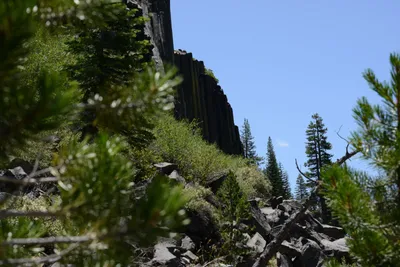 DSC_3668 (Large).JPG